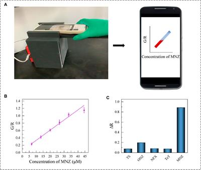 Based on mutated aptamer-smartphone colorimetric detection of metronidazole in milk